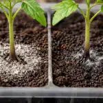 Kontrolės metodų efektyvumo palyginimas kontroles-metodu-efektyvumo-palyginimas.png